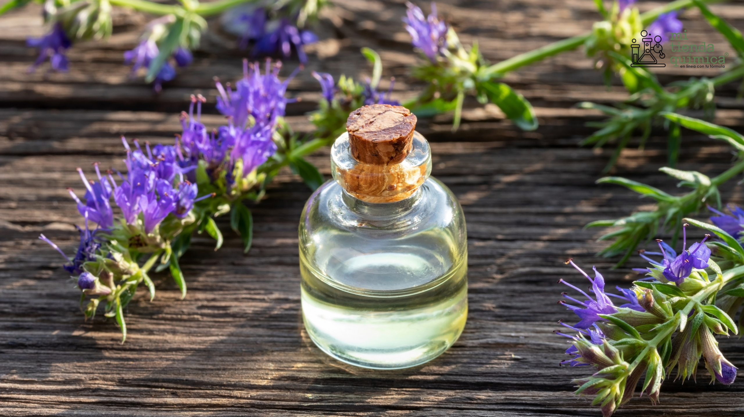 Aceite Esencial de Lavanda blog MTQ