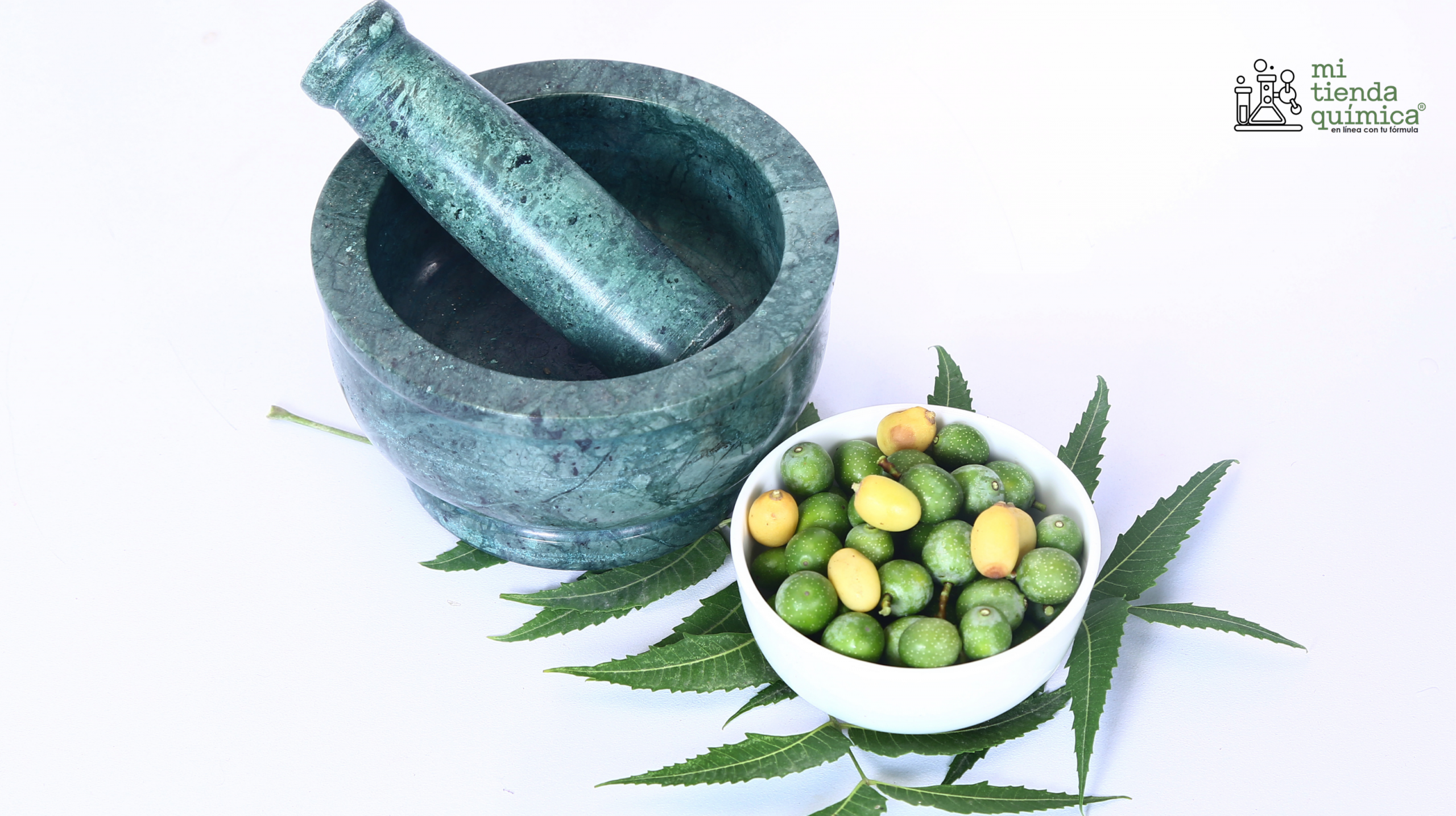 Aceite de Neem Blog MTQ