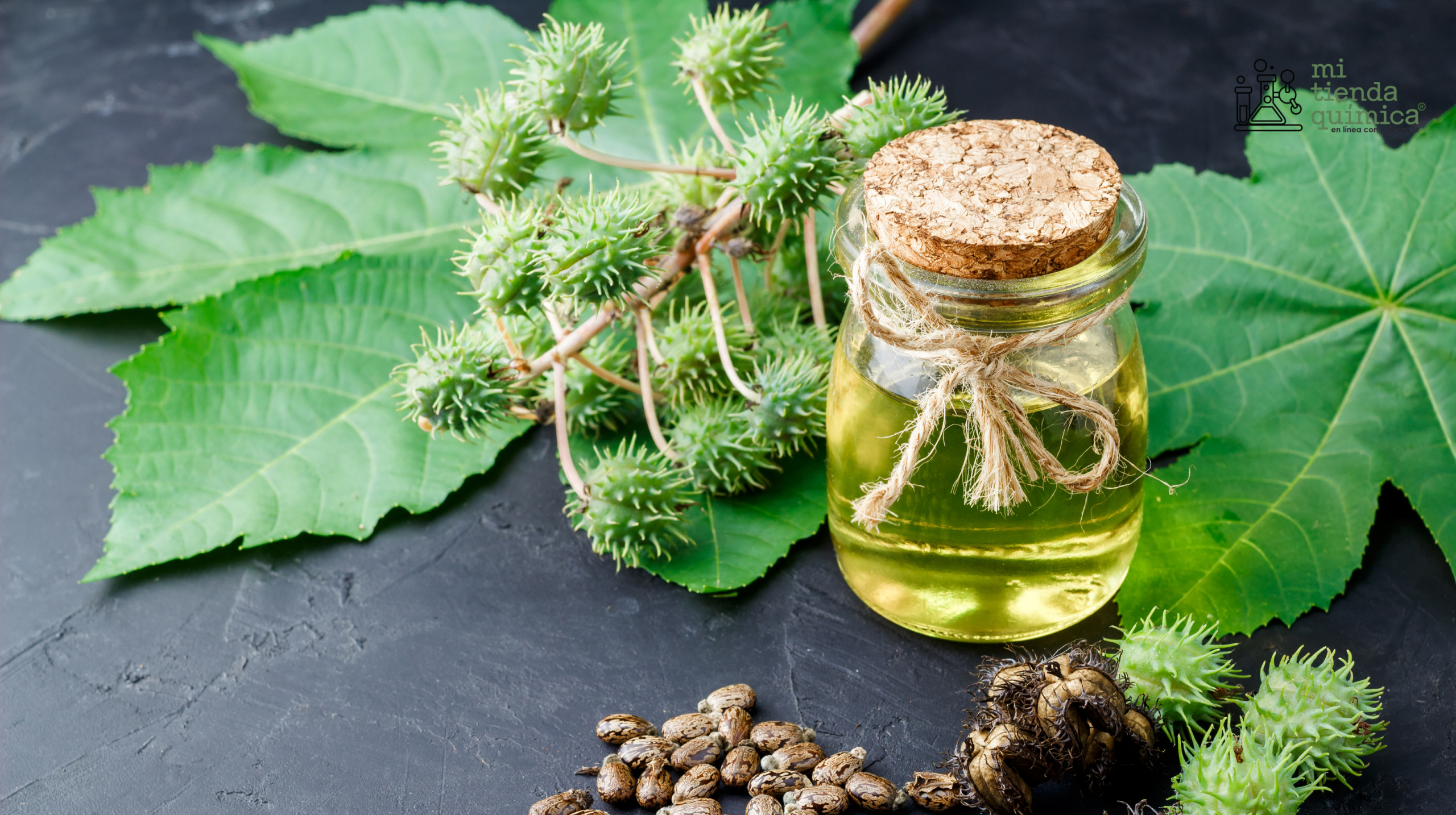 Blog Aceite Vegetal de Ricino MTQ