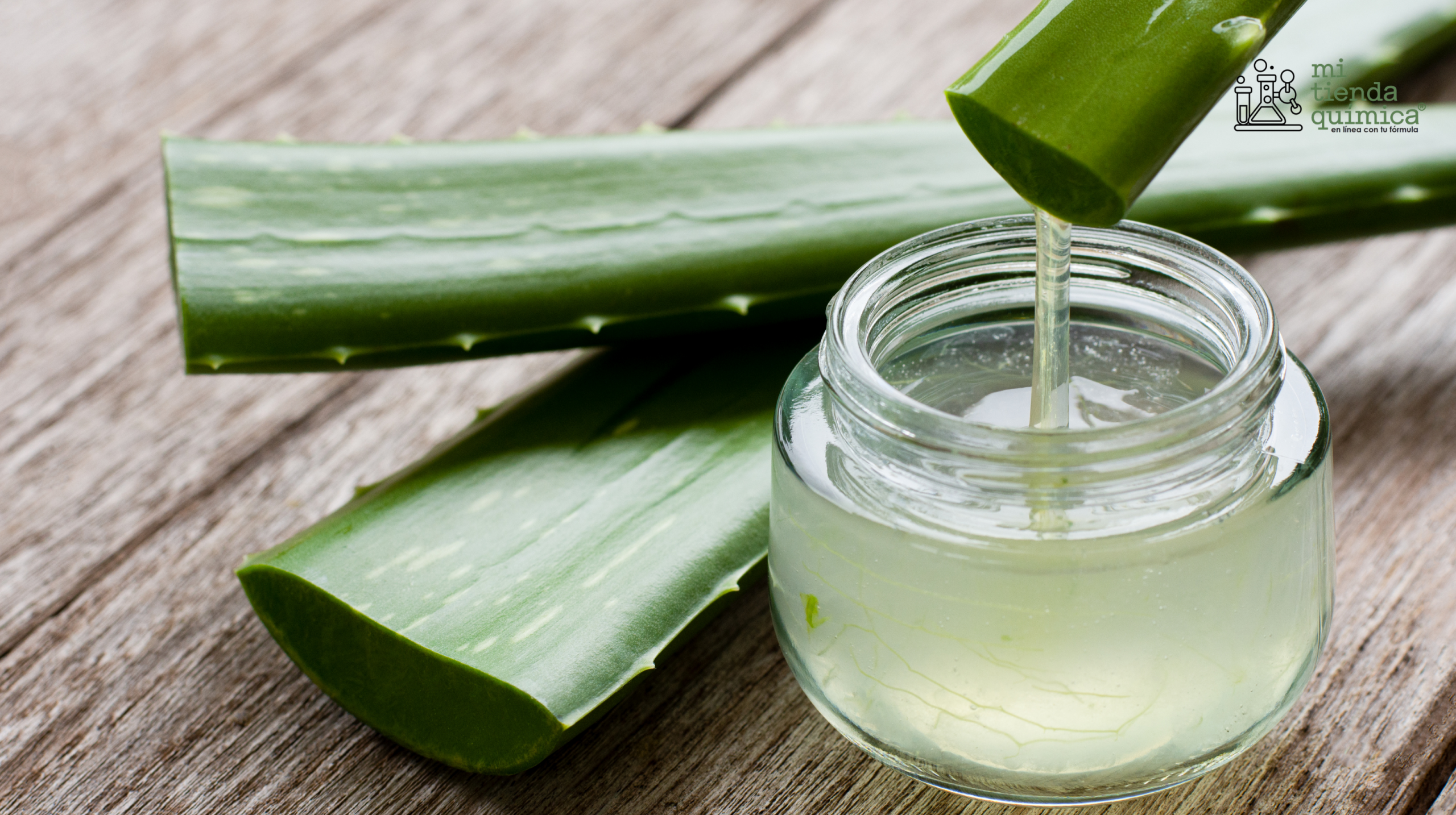 Blog Extracto de Aloe Vera MTQ
