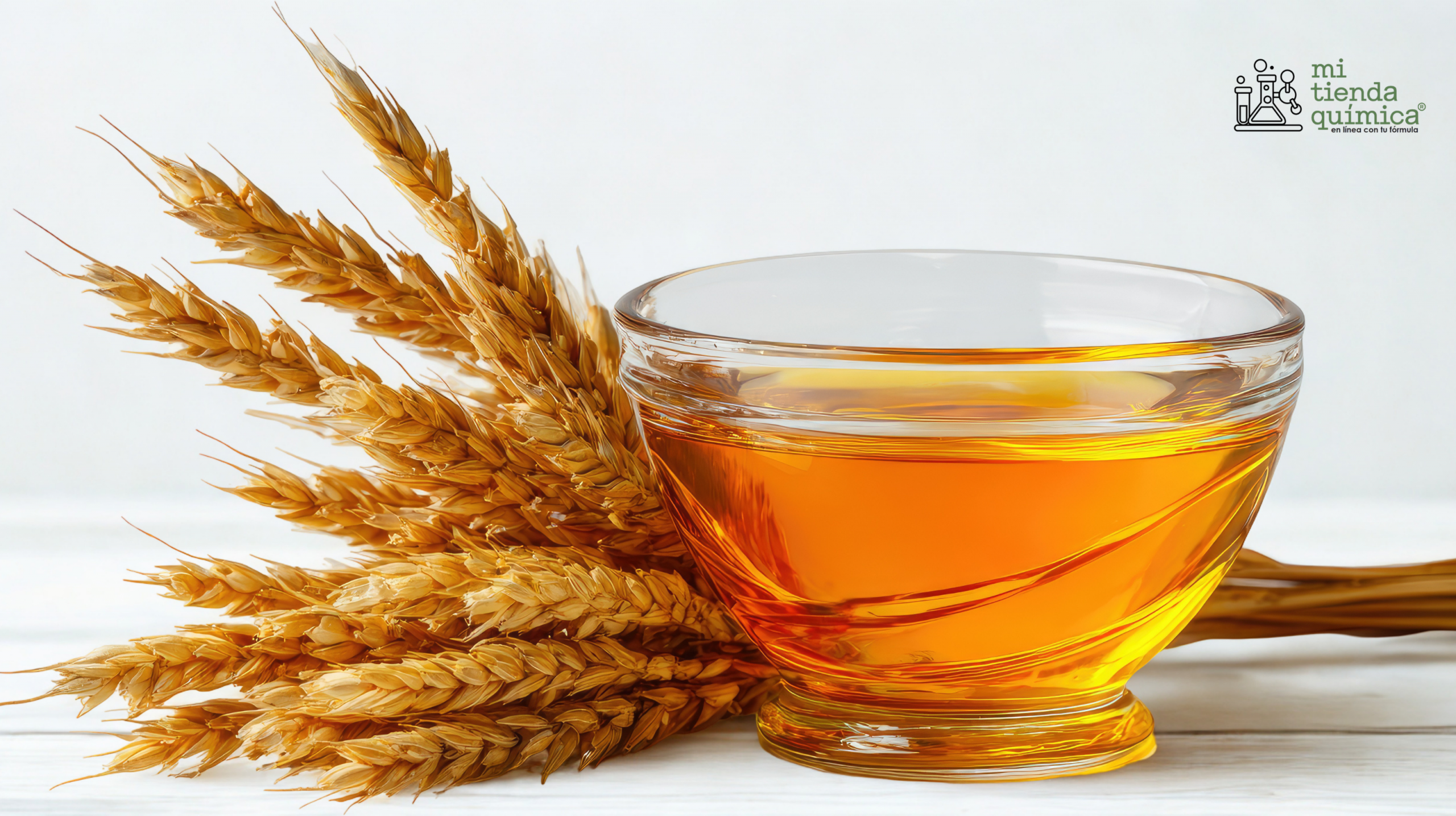 Blog Proteína de Trigo MTQ
